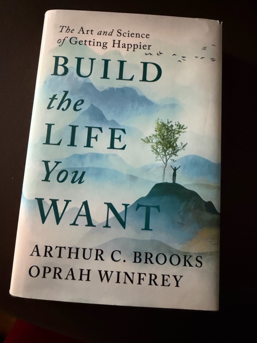 Build the Life You Want by Arthur C. Brooks & Oprah Winfrey - NEW 🆕